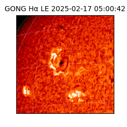 gong - 2025-02-17T05:00:42