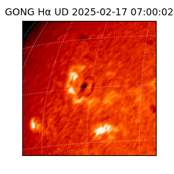 gong - 2025-02-17T07:00:02