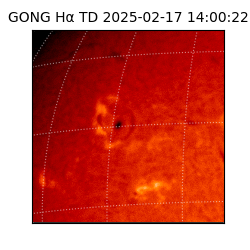 gong - 2025-02-17T14:00:22
