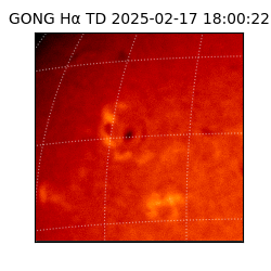 gong - 2025-02-17T18:00:22