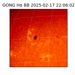 gong - 2025-02-17T22:06:02