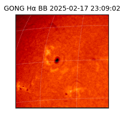 gong - 2025-02-17T23:09:02