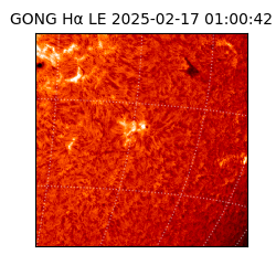gong - 2025-02-17T01:00:42