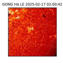 gong - 2025-02-17T02:00:42
