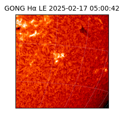 gong - 2025-02-17T05:00:42