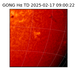 gong - 2025-02-17T09:00:22