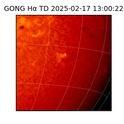 gong - 2025-02-17T13:00:22