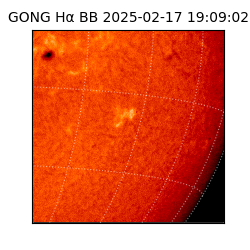 gong - 2025-02-17T19:09:02