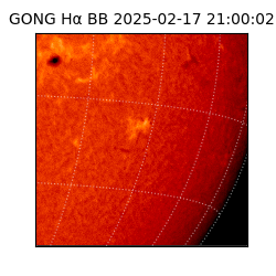 gong - 2025-02-17T21:00:02