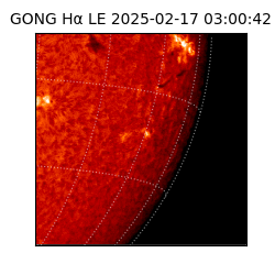 gong - 2025-02-17T03:00:42