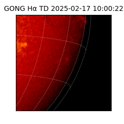 gong - 2025-02-17T10:00:22
