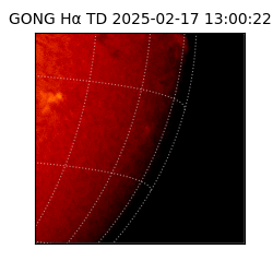 gong - 2025-02-17T13:00:22