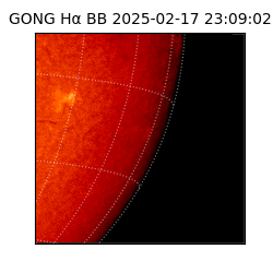 gong - 2025-02-17T23:09:02