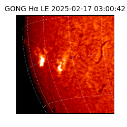 gong - 2025-02-17T03:00:42