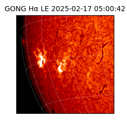 gong - 2025-02-17T05:00:42