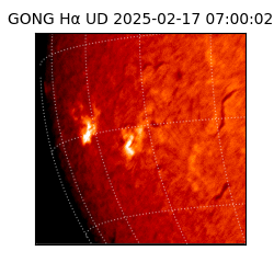 gong - 2025-02-17T07:00:02