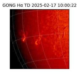 gong - 2025-02-17T10:00:22