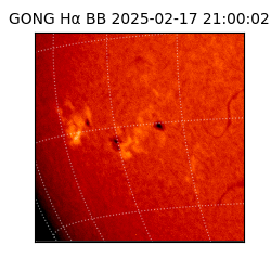 gong - 2025-02-17T21:00:02
