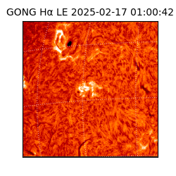 gong - 2025-02-17T01:00:42