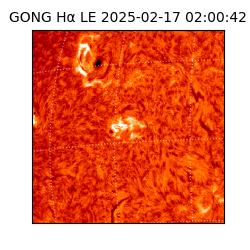 gong - 2025-02-17T02:00:42