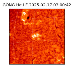 gong - 2025-02-17T03:00:42