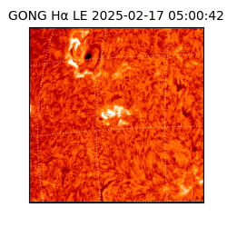 gong - 2025-02-17T05:00:42