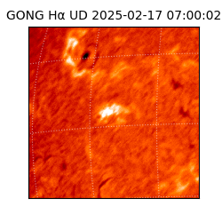 gong - 2025-02-17T07:00:02
