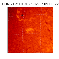 gong - 2025-02-17T09:00:22