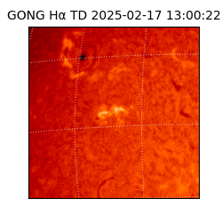 gong - 2025-02-17T13:00:22