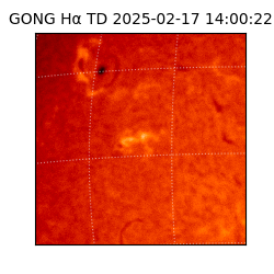 gong - 2025-02-17T14:00:22