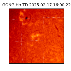 gong - 2025-02-17T16:00:22