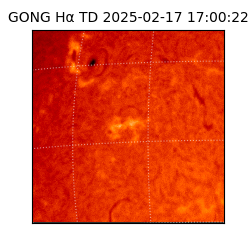 gong - 2025-02-17T17:00:22