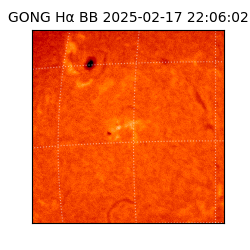 gong - 2025-02-17T22:06:02
