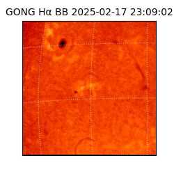 gong - 2025-02-17T23:09:02
