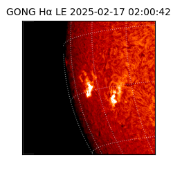 gong - 2025-02-17T02:00:42