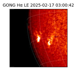 gong - 2025-02-17T03:00:42