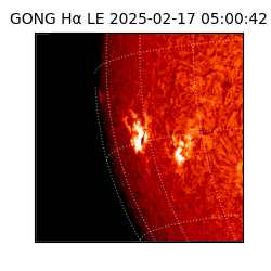 gong - 2025-02-17T05:00:42