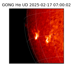 gong - 2025-02-17T07:00:02