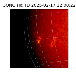 gong - 2025-02-17T12:00:22
