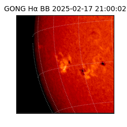 gong - 2025-02-17T21:00:02