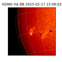 gong - 2025-02-17T22:06:02