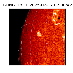 gong - 2025-02-17T02:00:42