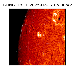 gong - 2025-02-17T05:00:42