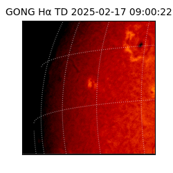 gong - 2025-02-17T09:00:22