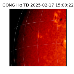 gong - 2025-02-17T15:00:22