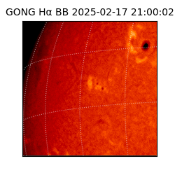 gong - 2025-02-17T21:00:02