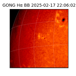 gong - 2025-02-17T22:06:02