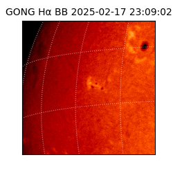 gong - 2025-02-17T23:09:02