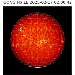 gong - 2025-02-17T02:00:42