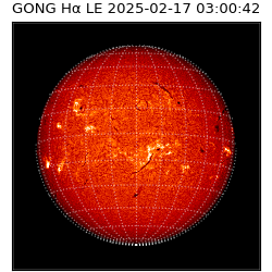 gong - 2025-02-17T03:00:42